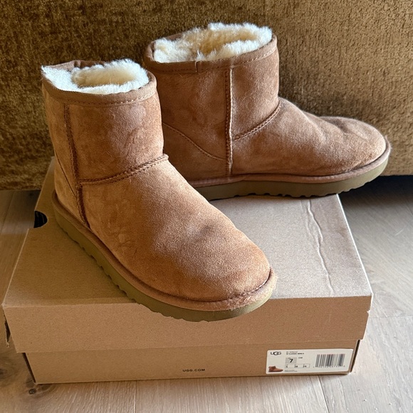 UGG Women's Winter Boots - Chestnut